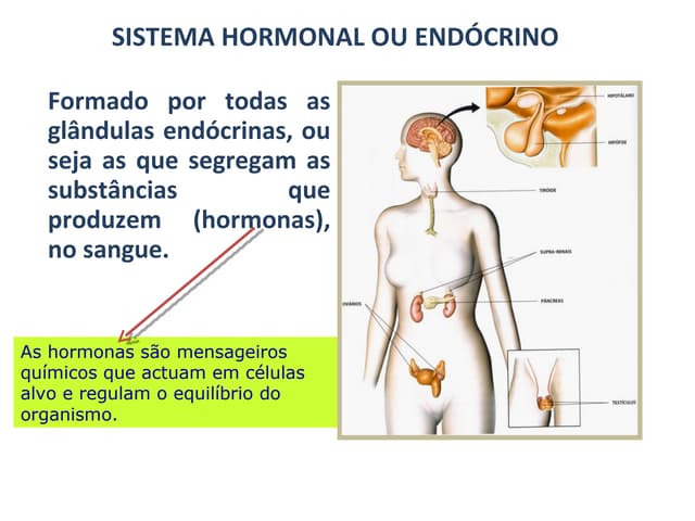 Sistema neuro hormonaliv