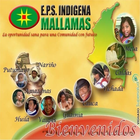 Sistema obligatorio de garantia de calidad en salud