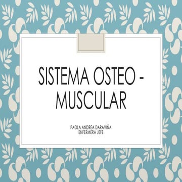 Sistema osteo   muscular
