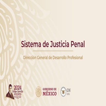 Sistema Penal Acusatorio  para una mejor comprencion2024.pdf