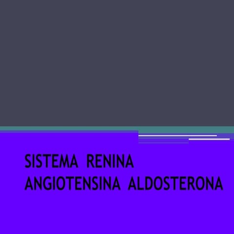 Sistema raa | PPTX
