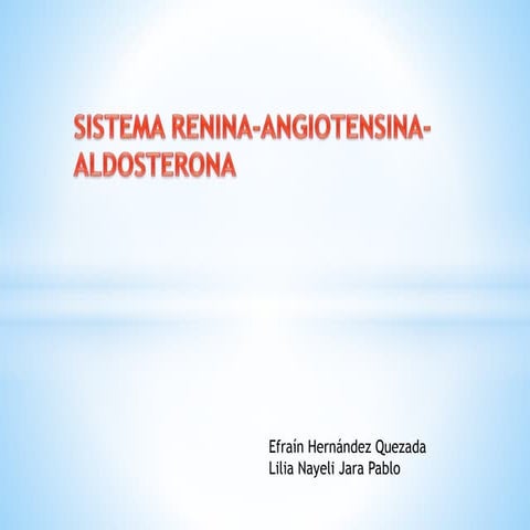Sistema renina angiotensina-aldosterona
