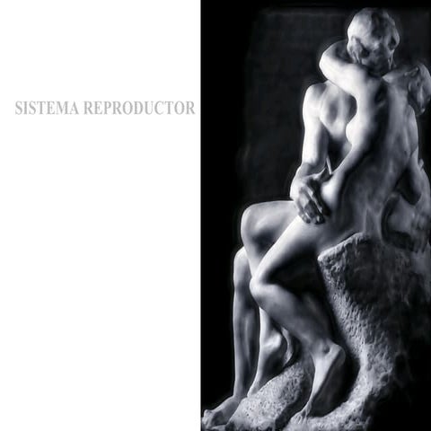 Sistema Reproductor