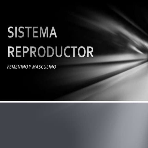 Sistema reproductor