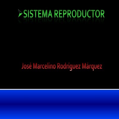 Sistema reproductor