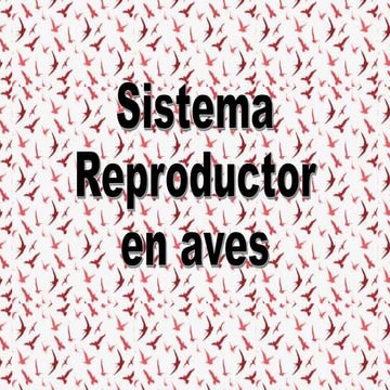 Sistema reproductor de las aves