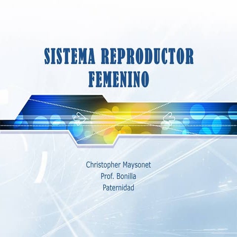 Sistema reproductor femenino