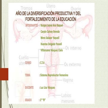 Sistema reproductor femenino