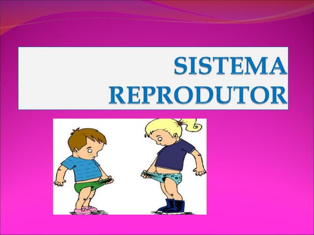 Sistema reprodutor masculino e femi...