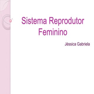 Sistema reprodutor feminino