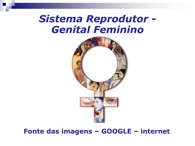 Sistema reprodutor feminino slides