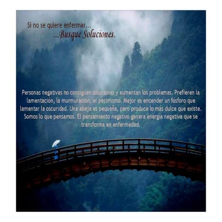 Sistema respiratorio