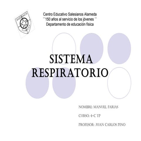 Sistema respiratorio
