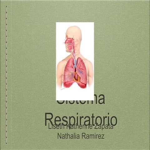 Sistema respiratorio