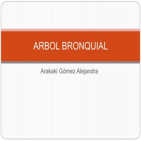 Sistema respiratorio HISTOLOGIA 