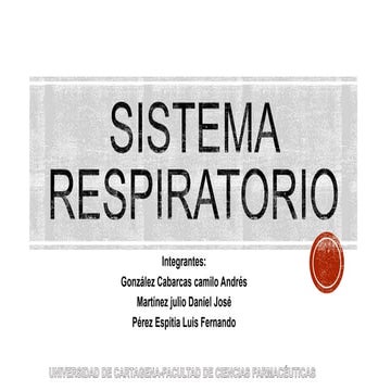 Sistema respiratorio