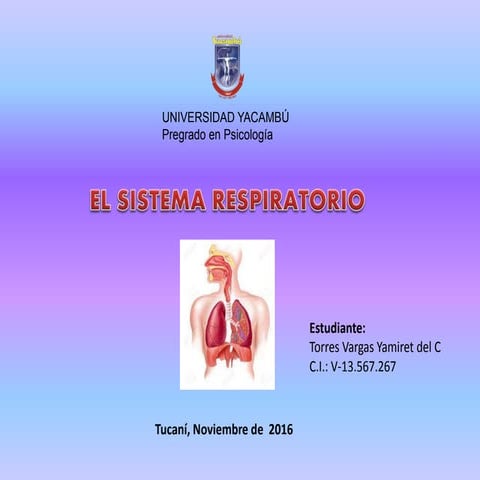 Sistema respiratorio