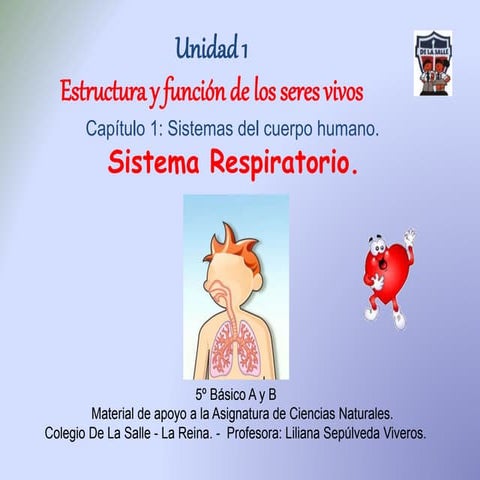 Sistema respiratorio