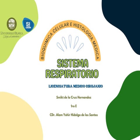 sistema respiratorio.pdf