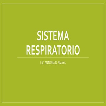 SISTEMA RESPIRATORIO Conjunto de órganos que participan en la respiración; in...