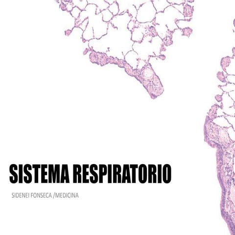 HISTOLOGIA DEL SISTEMA RESPIRATORIO