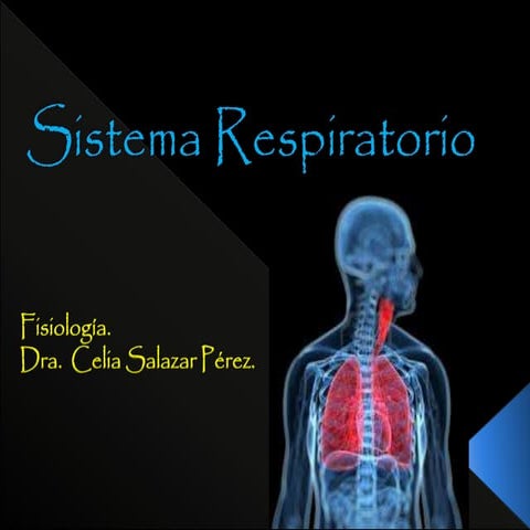 Sistema respiratorio anatomia y fisiologia