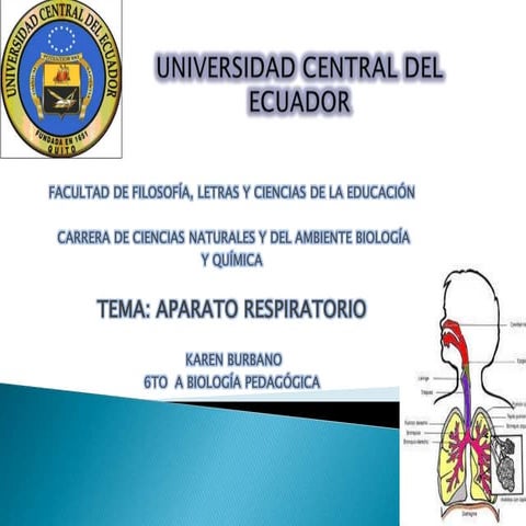 Sistema respiratorio por karen burbano