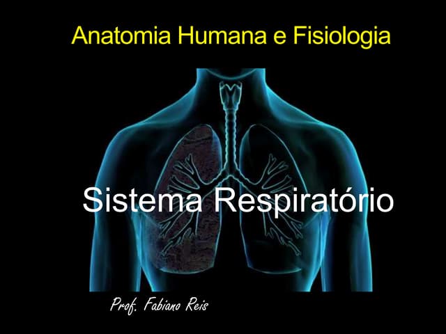 Sistema respiratorio slides da aula