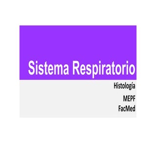 Histología del Sistema Respiratorio...