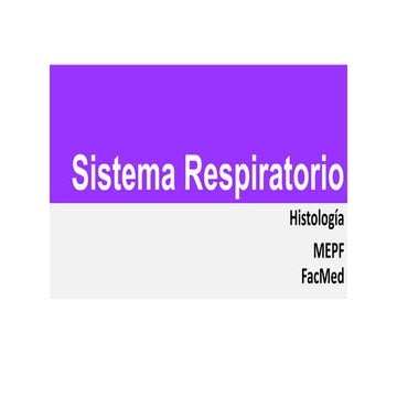Histología del Sistema Respiratorio Teoria