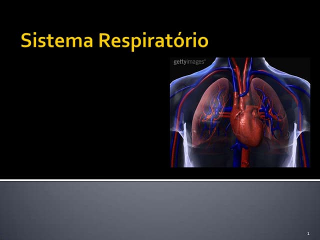 Sistema respiratório