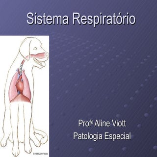Patologia do Sistema Respiratório