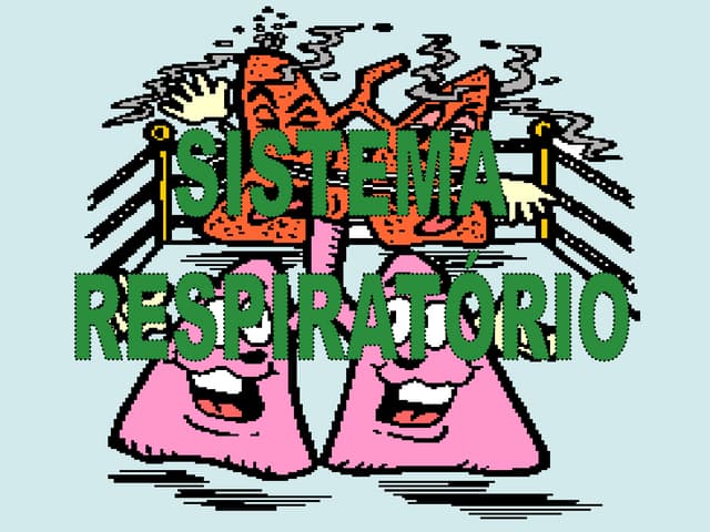 Sistema Respiratório
