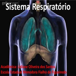 Sistema respiratório_Lidiane