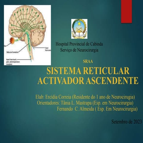 Diagrama Do Sistema De Ativacao Reticular