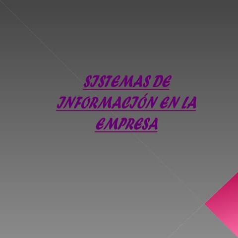Sistemas De InformacióN En La Empresa