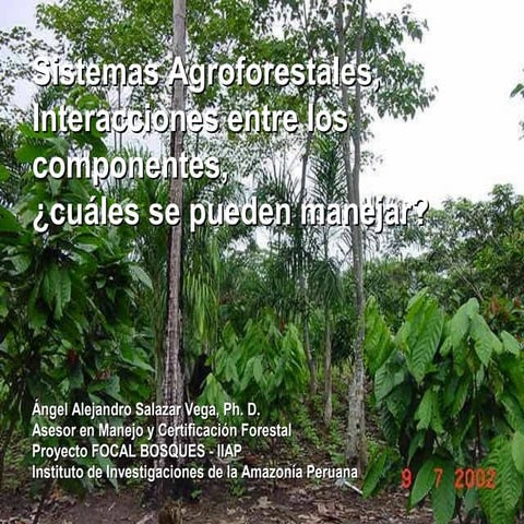Sistemas agroforestales