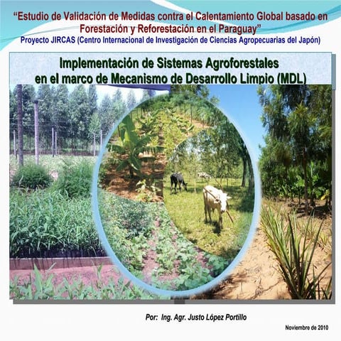 Sistemas agroforestales integrados en el Paraguay