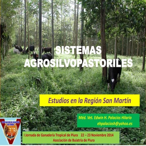 Sistemas agrosilvopastoriles