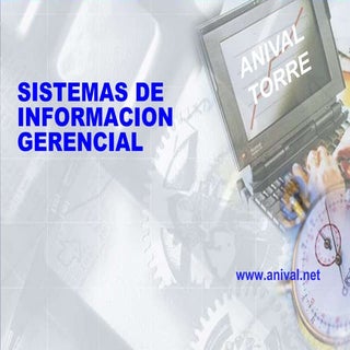 Sistemas De Información Gerencial