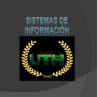 Sistemas de información en organiza...