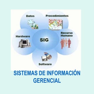Sistemas de información gerencial