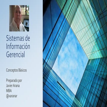 Sistemas de Información Gerencial