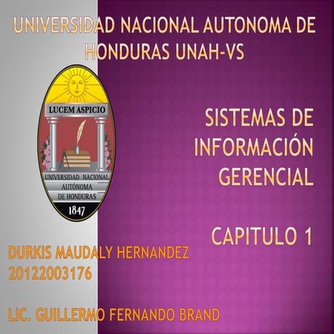 Sistemas de información Gerencial