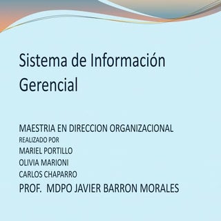 Sistemas de información gerencial