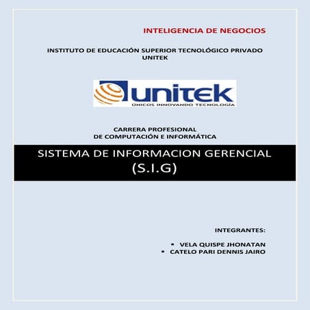 Sistemas de informacion gernecial