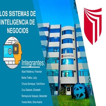 SISTEMAS DE INTELIGENCIA DE NEGOCIOS