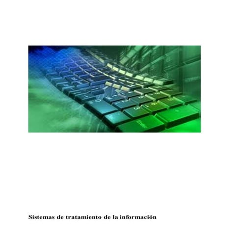 Sistemas de tratamiento de la información 123
