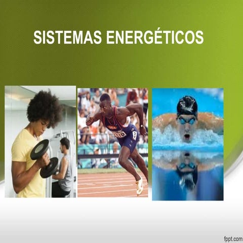SISTEMAS ENERGETICO-PRESENTACION.ppt