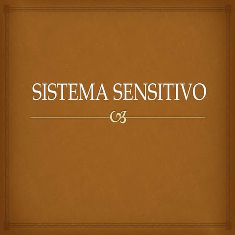 Sistema sensitivo34
